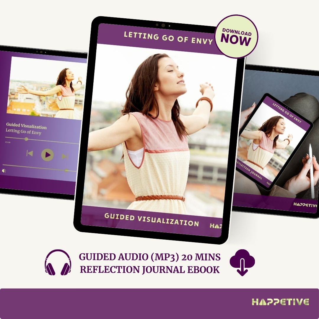 Letting Go of Envy Visualization